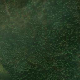 Satellite imagery of Sauberg, DE