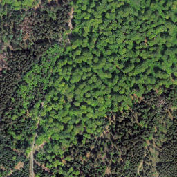 Satellite imagery of Wüstegarten, DE