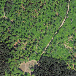Satellite imagery of Wüstegarten, DE