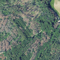 Satellite imagery of Seelenberg, DE