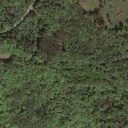 Satellite imagery of Großer Ettersberg, DE