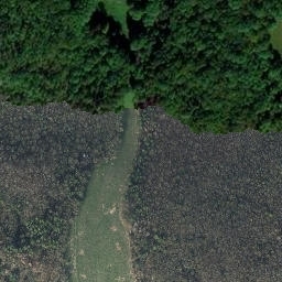 Satellite imagery of Riebitz, DE