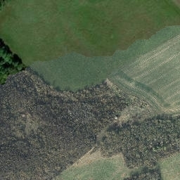 Satellite imagery of Riebitz, DE