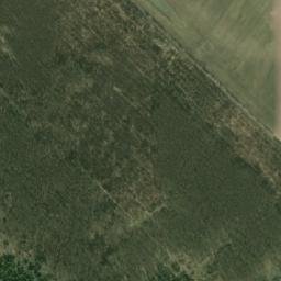 Satelita