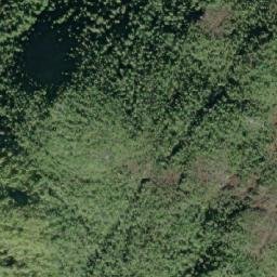 Satellite imagery of Allison Cone, CA