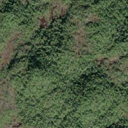 Satellite imagery of Allison Cone, CA