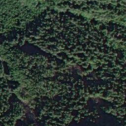 Satellite imagery of Mount Verney, CA