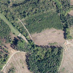 Satellite imagery of Steupingen, DE