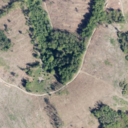 Satellite imagery of Steupingen, DE