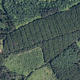 Satellite imagery of Stübelhagen, DE