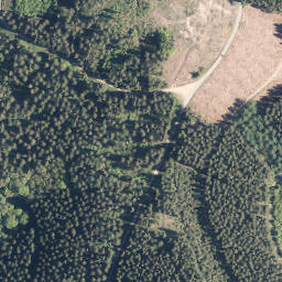 Satellite imagery of Albaumer Höhe, DE