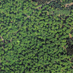 Satellite imagery of Exhelmerstein, DE