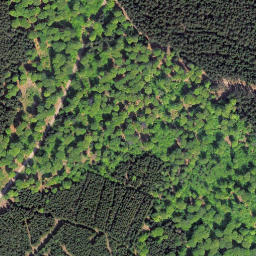 Satellite imagery of Wüstegarten, DE