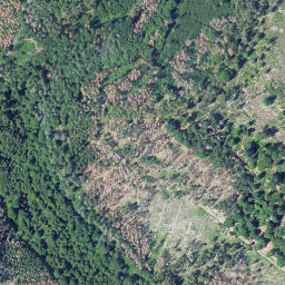 Satellite imagery of Seelenberg, DE