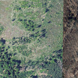 Satellite imagery of Seelenberg, DE