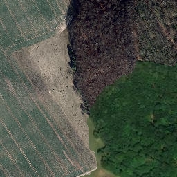 Satellite imagery of 31, DE