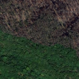 Satellite imagery of 31, DE
