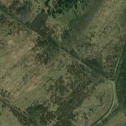 Satelita