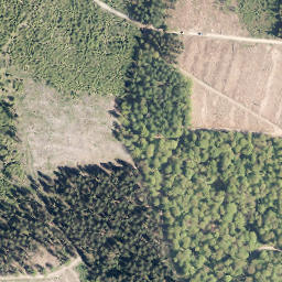 Satellite imagery of Rothenberg, DE
