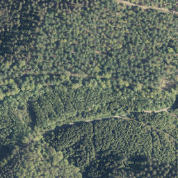Satellite imagery of Rauher Berg, DE