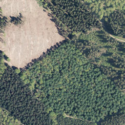 Satellite imagery of Rothenberg, DE