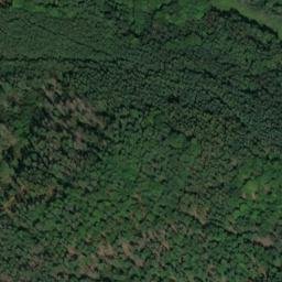 Satellite imagery of Kirchwaldskopf, DE