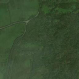 Satellite imagery of Brownsham Wood, GB
