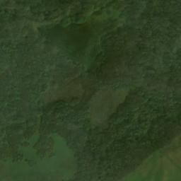 Satellite imagery of Brownsham Wood, GB