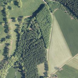 Satellite imagery of Rauher Berg, DE
