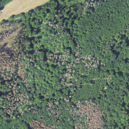 Satellite imagery of Eichkopf, DE