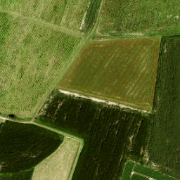 Satellite imagery of Grenspaal 116 (NL), NL
