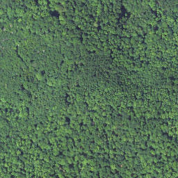 Satellite imagery of Herzberg, DE