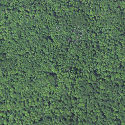 Satellite imagery of Herzberg, DE