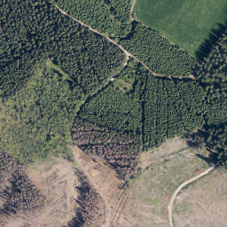 Satellite imagery of Lohkopf, DE