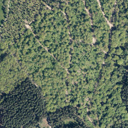 Satellite imagery of Lohkopf, DE