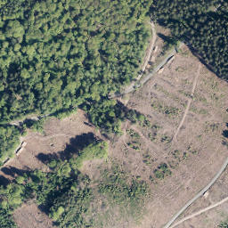 Satellite imagery of Kindelsberg, DE