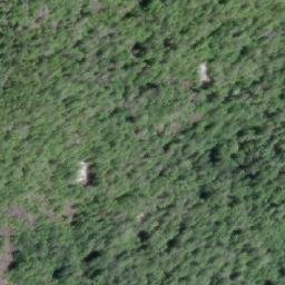 Satellite imagery of Mount Walter, CA
