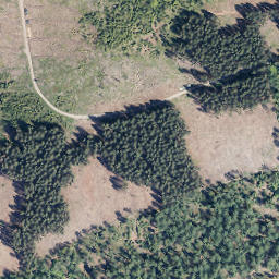 Satellite imagery of Lohkopf, DE