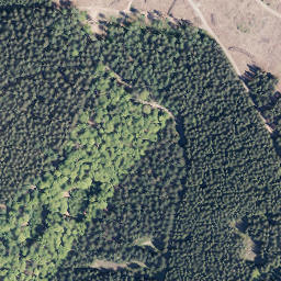 Satellite imagery of Martinshardt, DE