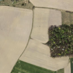 Satellite imagery of Zamek Gryf, PL