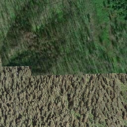 Satellite imagery of Mount Riley, CA