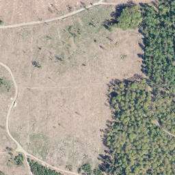 Satellite imagery of Lohkopf, DE
