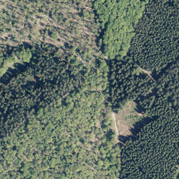 Satellite imagery of Lohkopf, DE