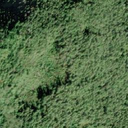 Satellite imagery of Mount Ward, CA
