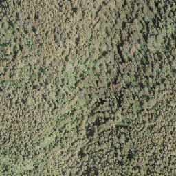 Satellite imagery of Mount Riley, CA
