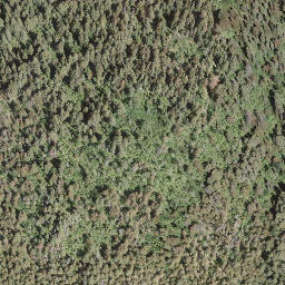 Satellite imagery of Mount Riley, CA