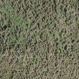 Satellite imagery of Mount Riley, CA