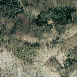 Satellite imagery of Leienberg, DE