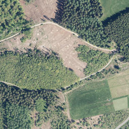 Satellite imagery of Balzenberg, DE