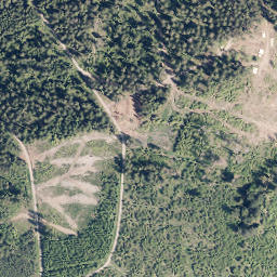 Satellite imagery of Martinshardt, DE